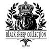 bsc79